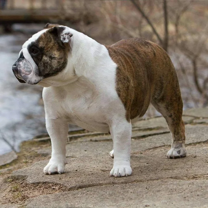 Annabelle standing on a stone path by the water