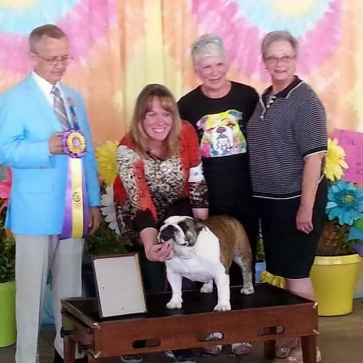 Annabelle posing for a ribbon photo at a dog show