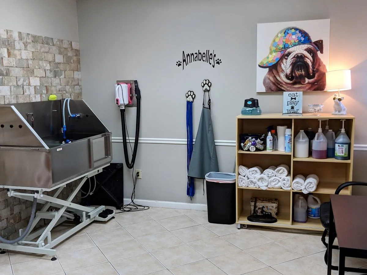 Inside Annabelle’s salon, with the grooming tub and the Annabelle wall sign
